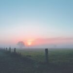 golden hour photo