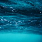 close up photo of water