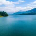 body of water surrounded by three trees