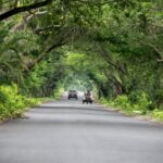 gray car in the middle of highway near green trees