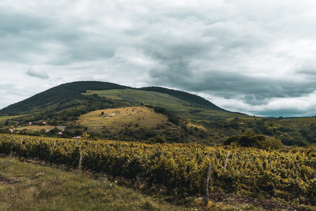 green landscape under cloudy sky