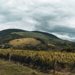 green landscape under cloudy sky