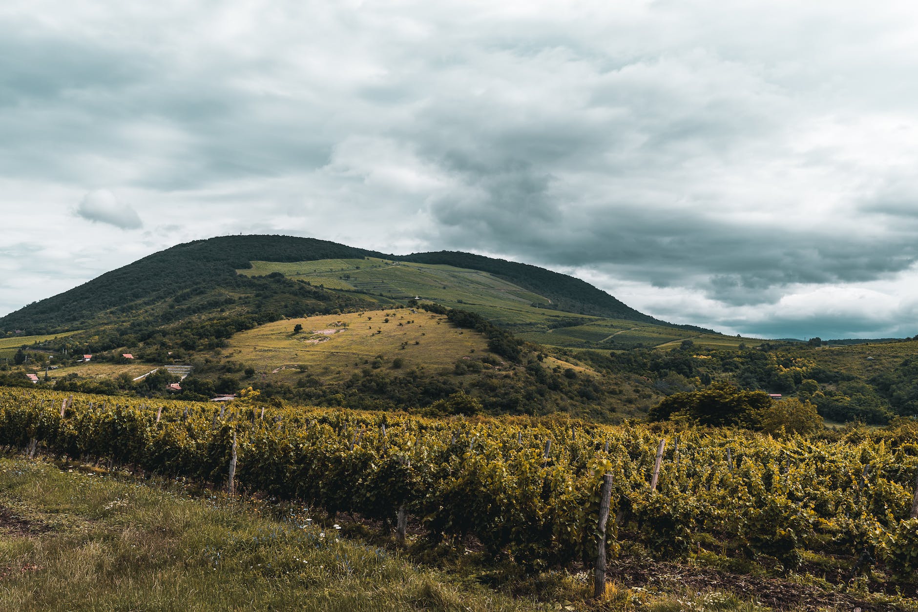 green landscape under cloudy sky