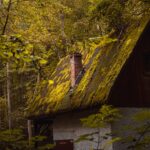 brown wooden house near green trees