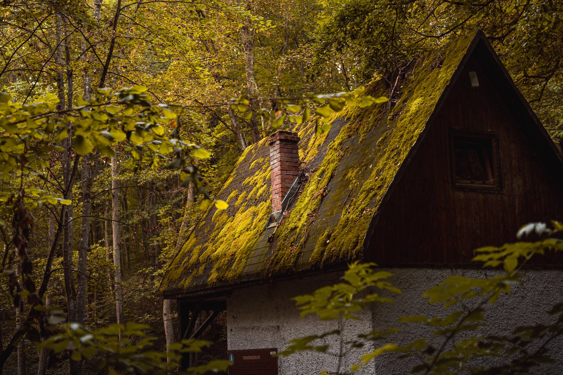 brown wooden house near green trees