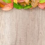assorted color leaves on wooden surface