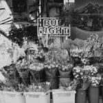 bud light ny