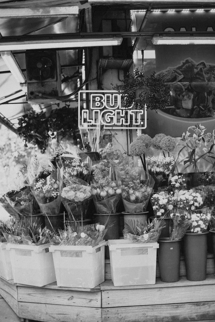 bud light ny