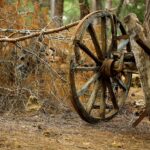 brown carriage wheel