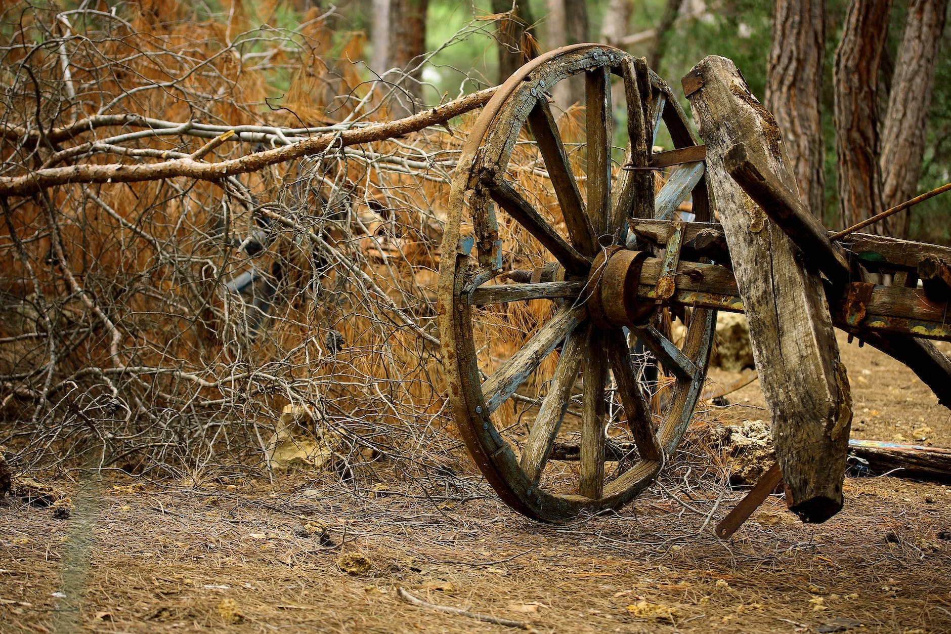 brown carriage wheel