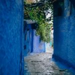 blue wall alley