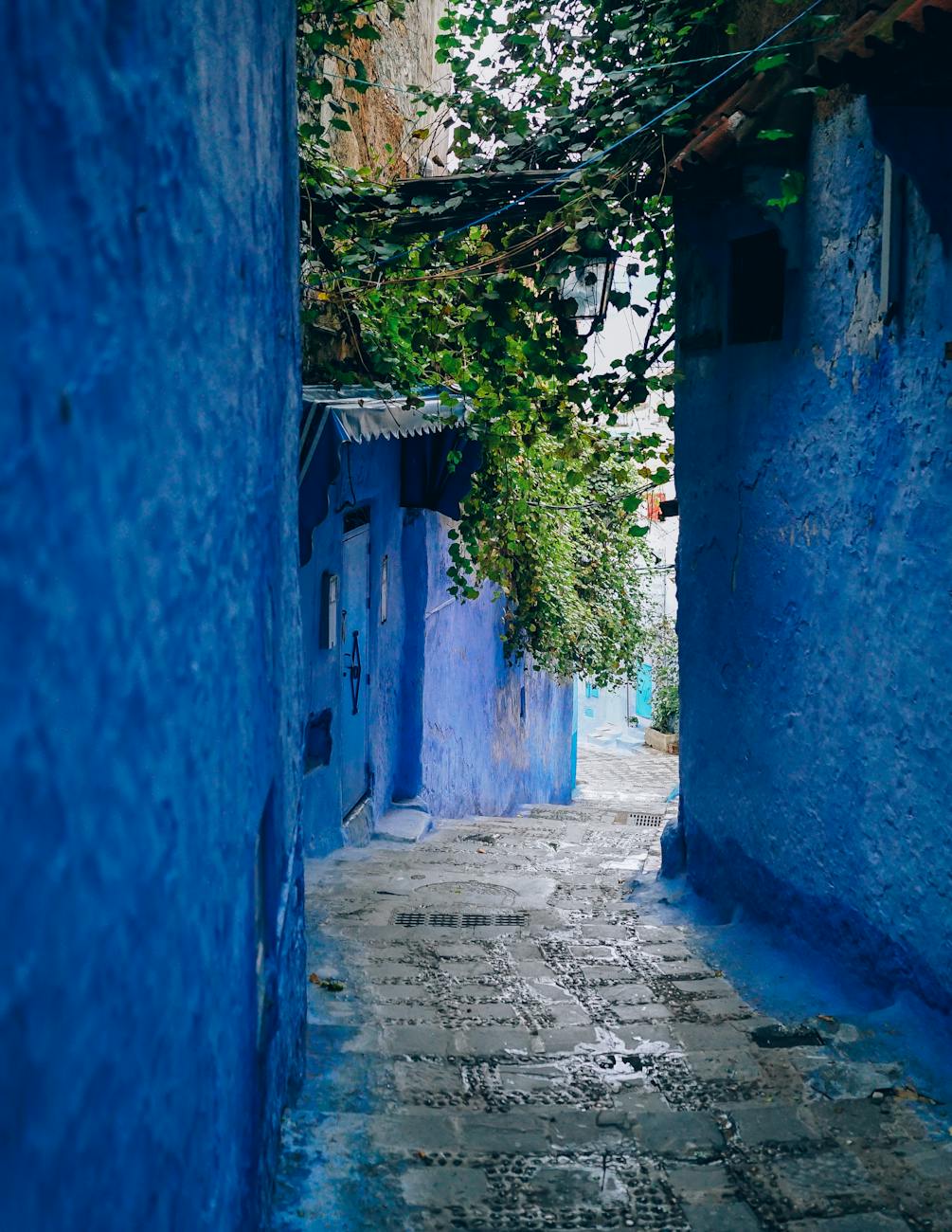 blue wall alley