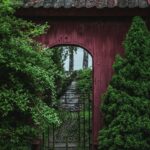 trees near gate