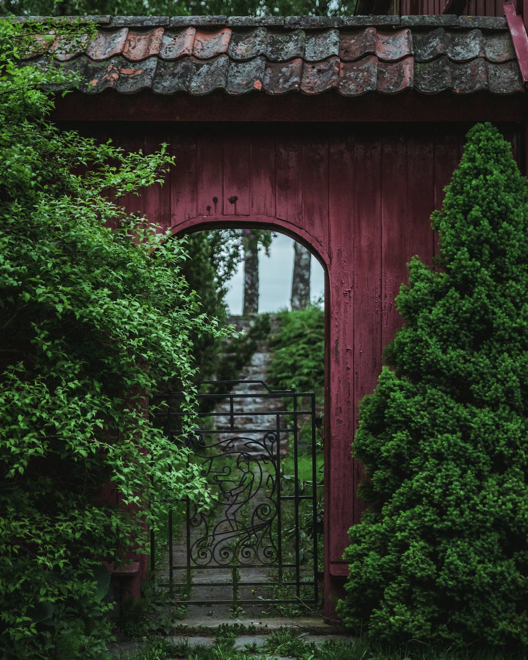 trees near gate