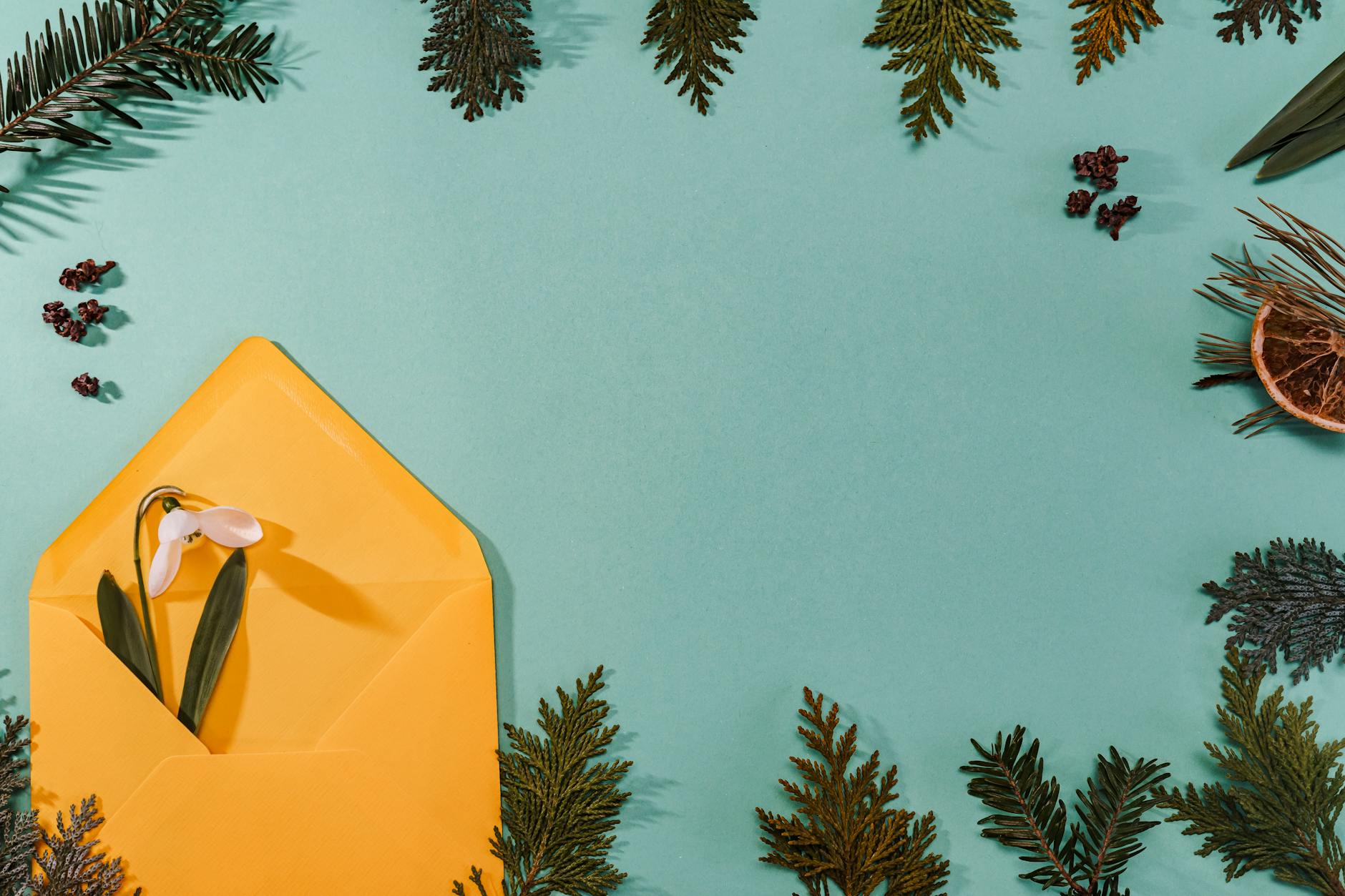 yellow envelope with white flower inside
