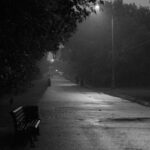 rain over park alley in black and white