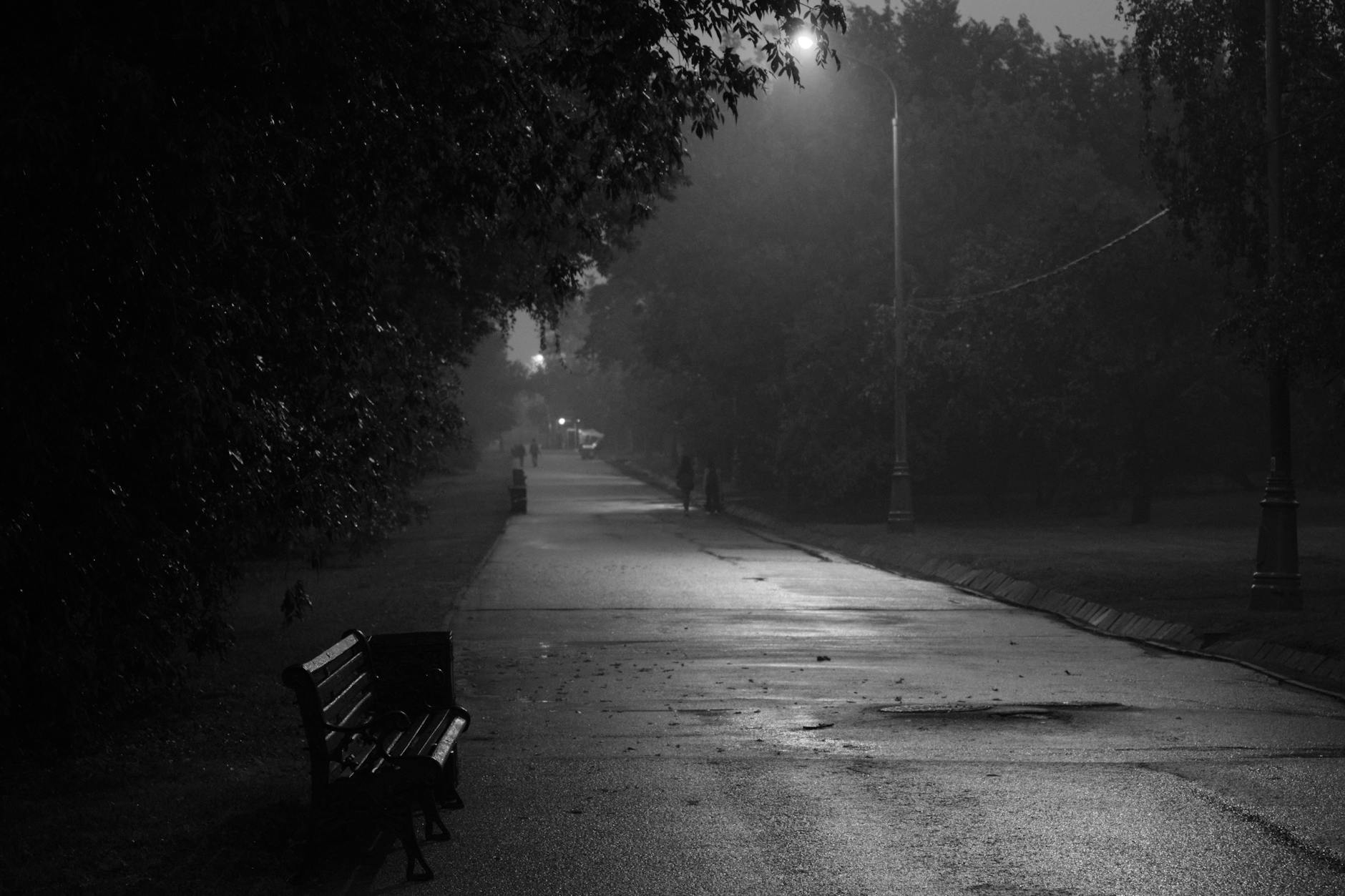 rain over park alley in black and white