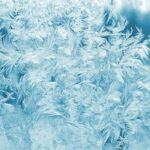 white feathers illustration