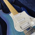 fujigen guitar