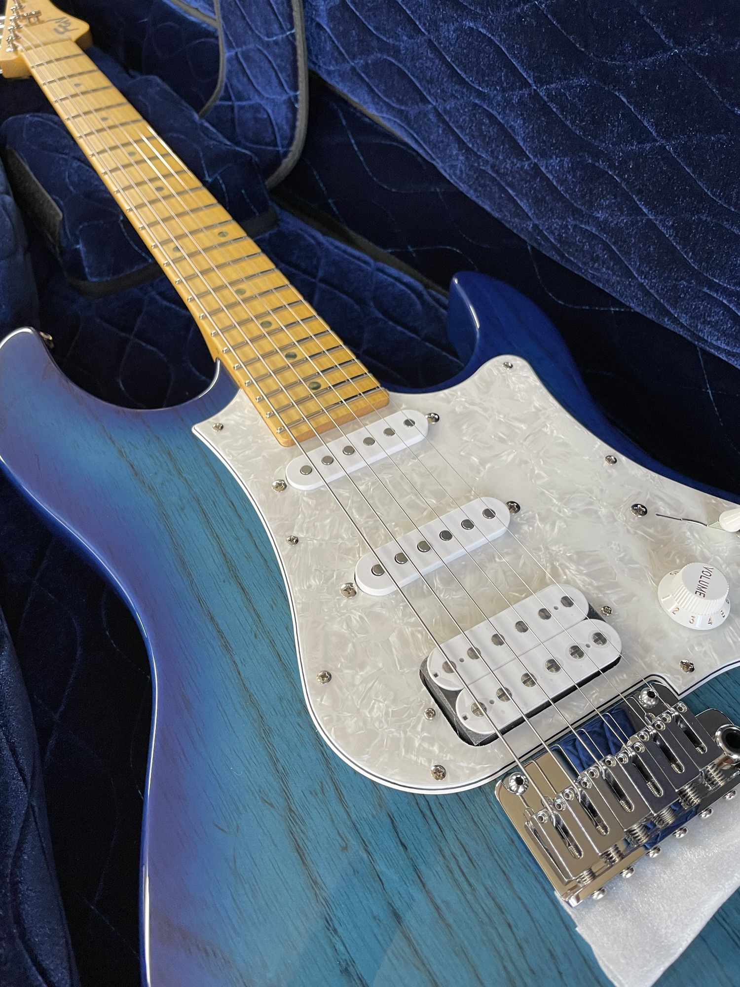 fujigen guitar